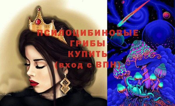твердый Алзамай