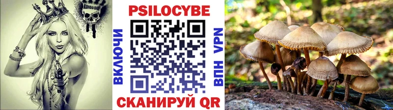 Галлюциногенные грибы GOLDEN TEACHER  закладка  Катайск 
